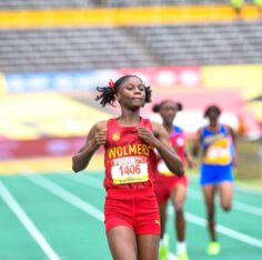 Carr looking for impact from small Wolmer’s team