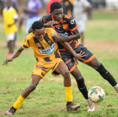 Wolmer’s drub Pembroke Hall 14-1