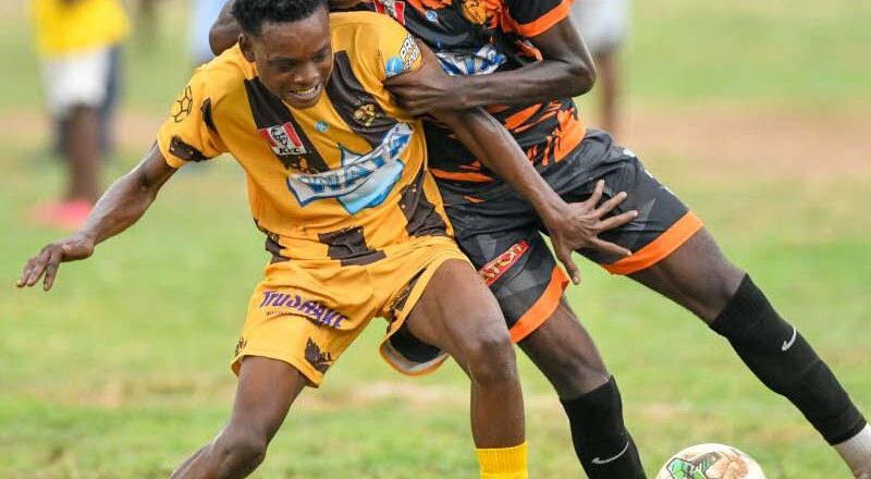 Wolmer’s drub Pembroke Hall 14-1